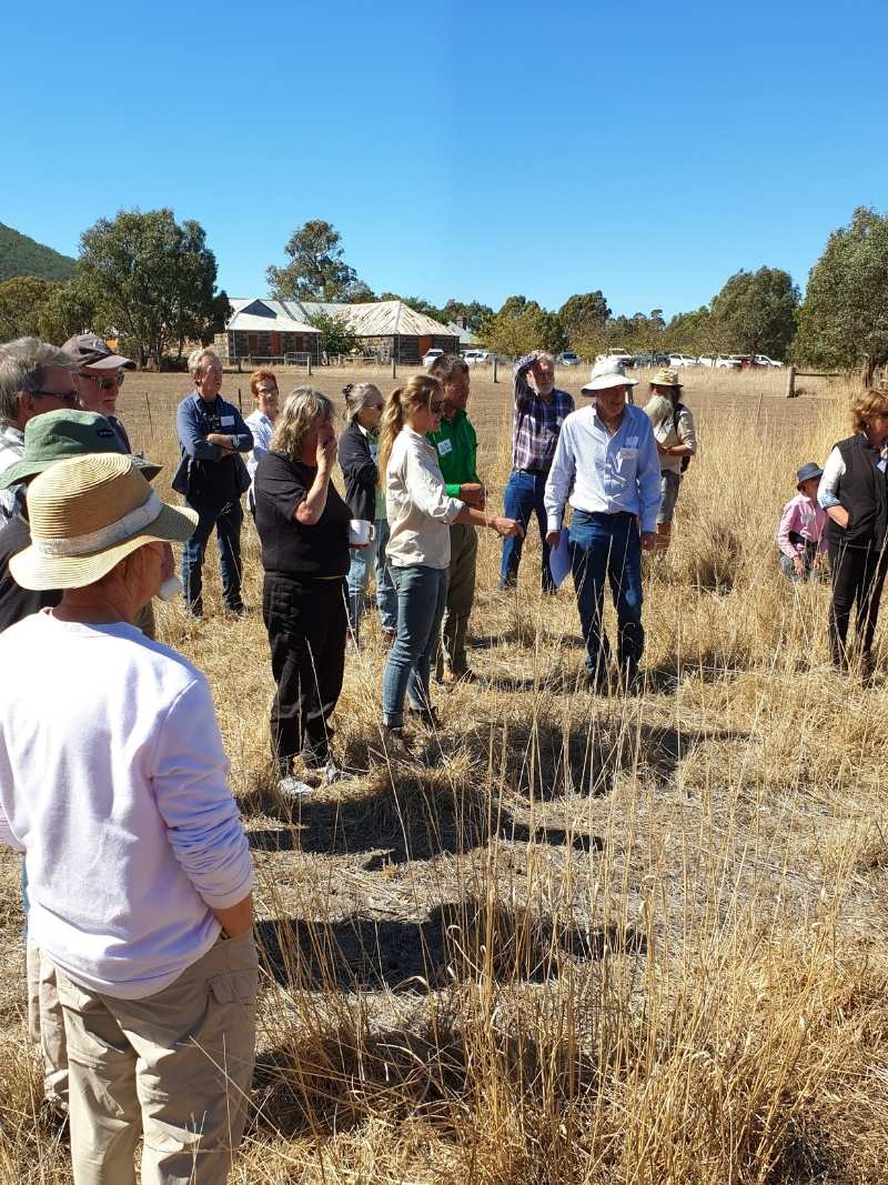 2019 - FoFW Banksia Forum at Dunkeld Pastoral (18) 2019 - FoFW Banksia Forum at Dunkeld Pastoral (18)