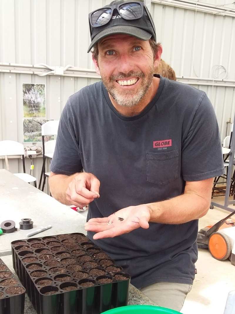 2020 - Drought tolerance trial (4) 2020 - Drought tolerance trial (4)