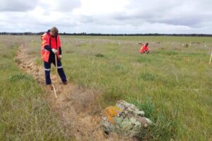 2020 - Mt Elephant planting by Work for Victoria crew (1)