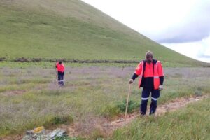 2020 - Mt Elephant planting by Work for Victoria crew (2)