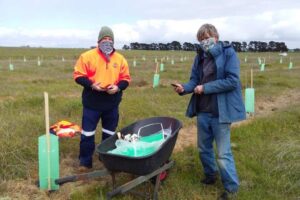 2020 - Mt Elephant planting by Work for Victoria crew (3)